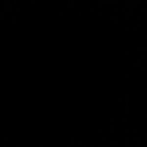 Meet your Posher, Cece